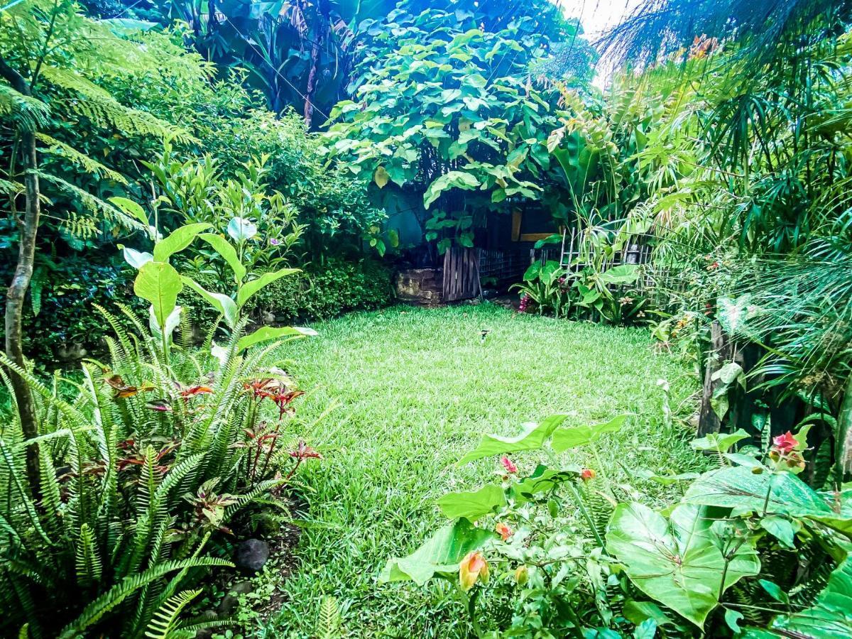 Unicorn Reborn - Peaceful Rentals سان ماركوس لا لاغونا المظهر الخارجي الصورة