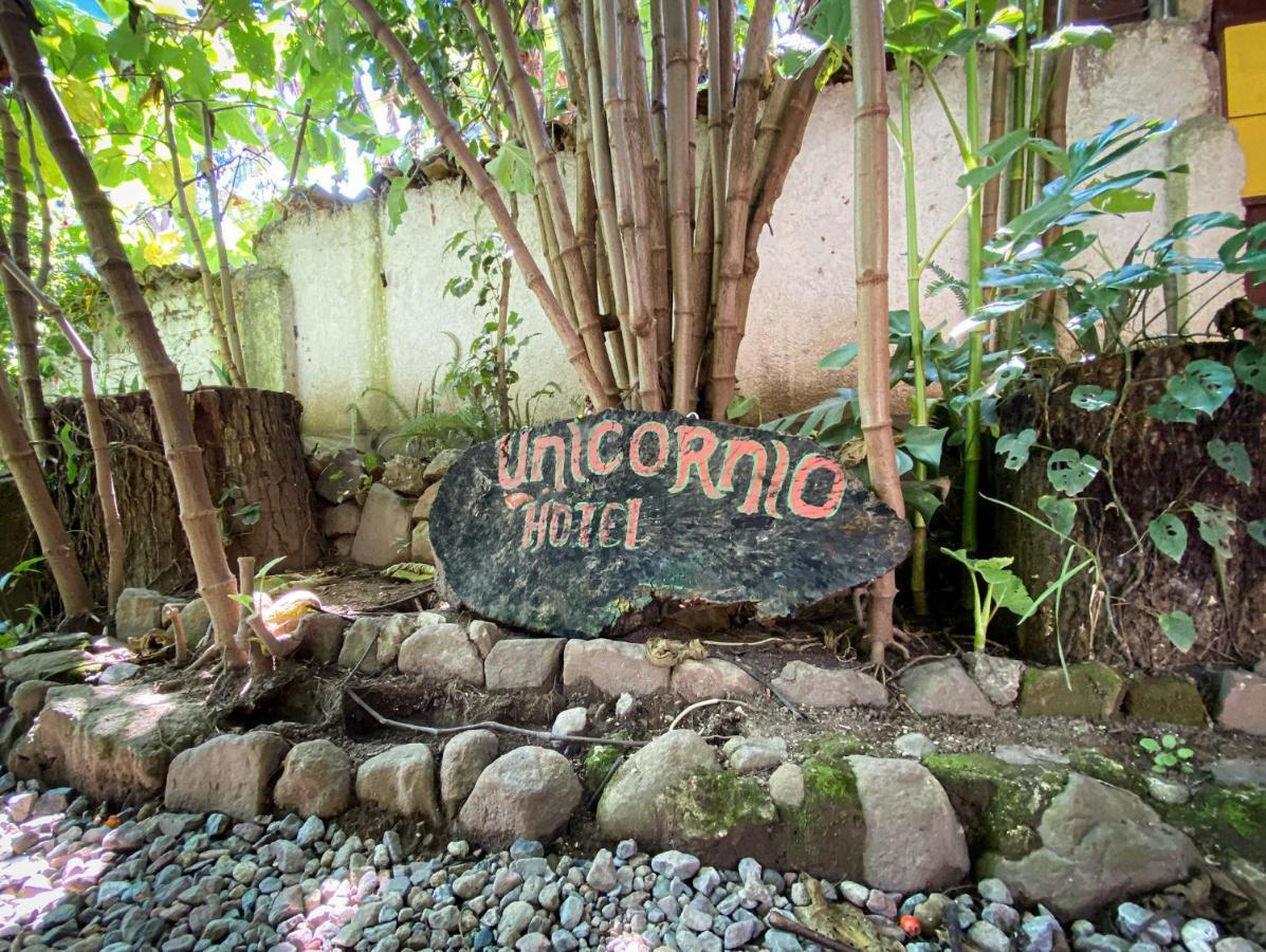 Unicorn Reborn - Peaceful Rentals سان ماركوس لا لاغونا المظهر الخارجي الصورة